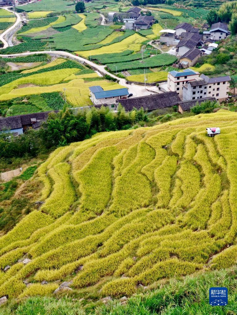 彩金沙平台登录